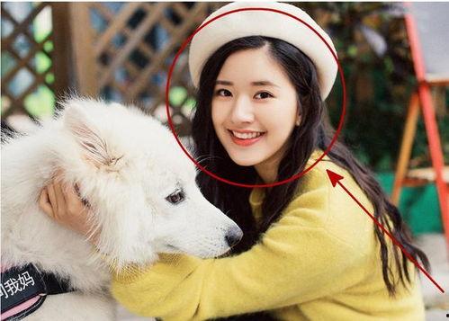 赵露思吻戏 911最新事件爆料